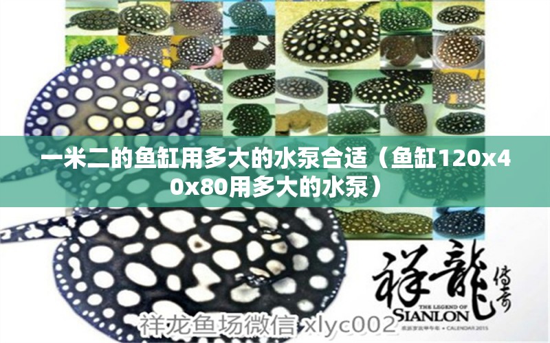 一米二的魚缸用多大的水泵合適（魚缸120x40x80用多大的水泵）