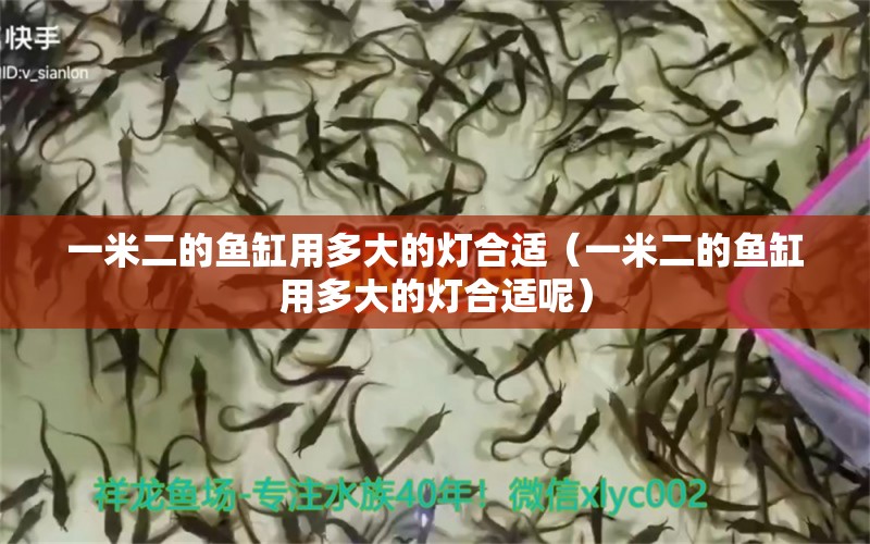 一米二的魚缸用多大的燈合適（一米二的魚缸用多大的燈合適呢）