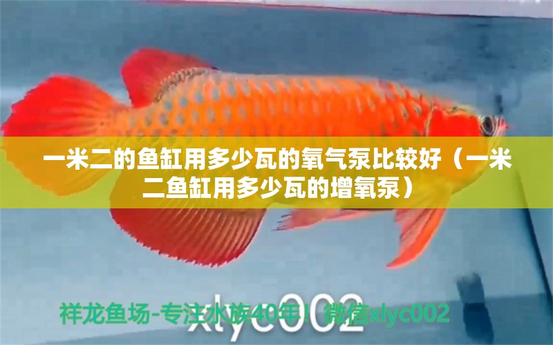 一米二的魚缸用多少瓦的氧氣泵比較好（一米二魚缸用多少瓦的增氧泵）