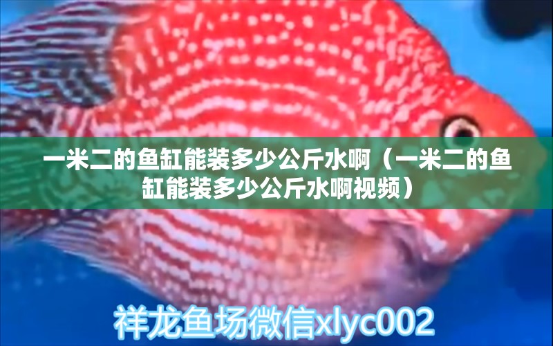 一米二的魚(yú)缸能裝多少公斤水啊（一米二的魚(yú)缸能裝多少公斤水啊視頻）