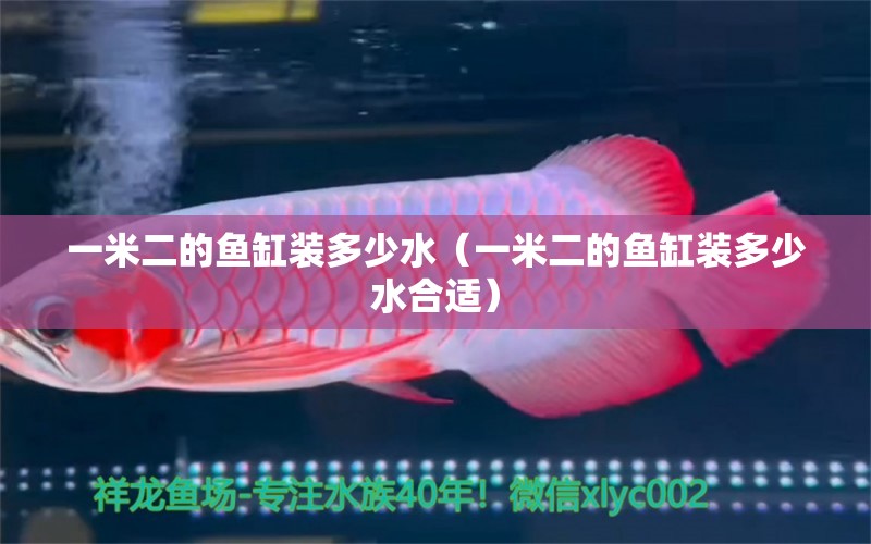 一米二的魚(yú)缸裝多少水（一米二的魚(yú)缸裝多少水合適）