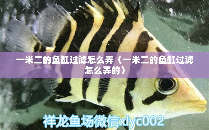 一米二的魚缸過濾怎么弄（一米二的魚缸過濾怎么弄的）