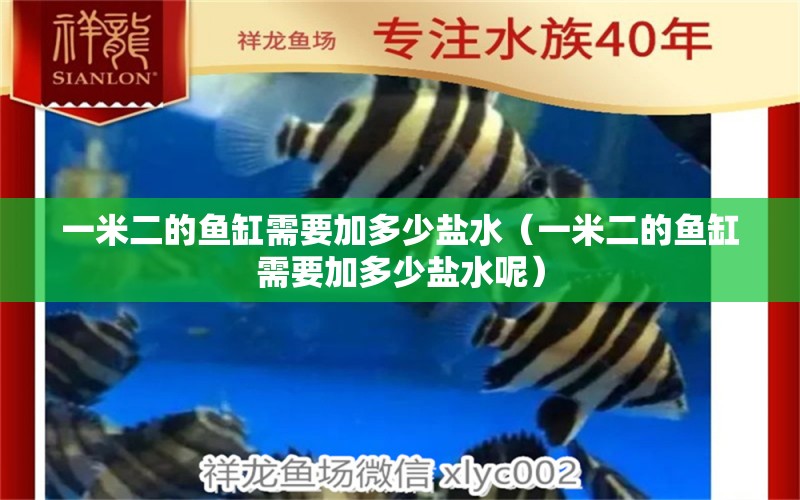 一米二的魚(yú)缸需要加多少鹽水（一米二的魚(yú)缸需要加多少鹽水呢）