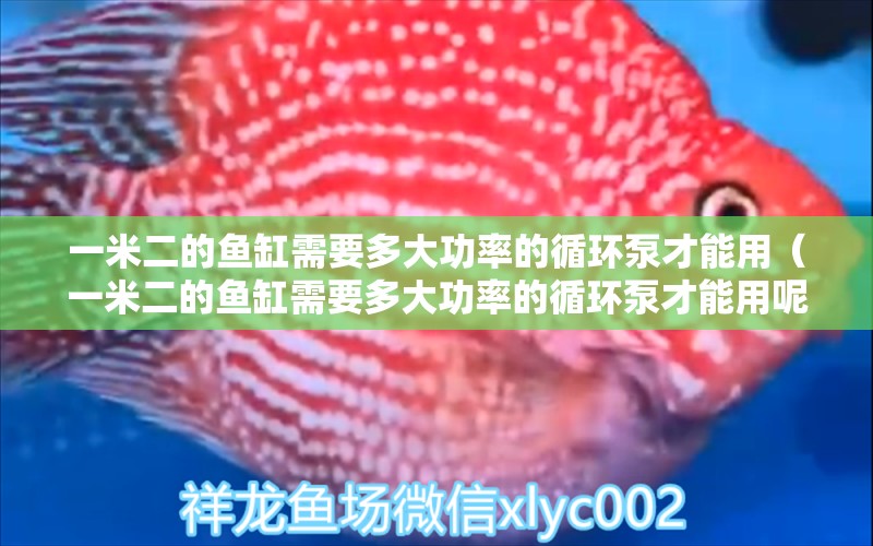 一米二的魚(yú)缸需要多大功率的循環(huán)泵才能用（一米二的魚(yú)缸需要多大功率的循環(huán)泵才能用呢）