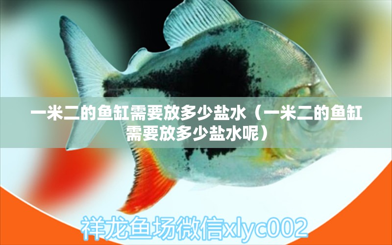 一米二的魚缸需要放多少鹽水（一米二的魚缸需要放多少鹽水呢） 其他品牌魚缸