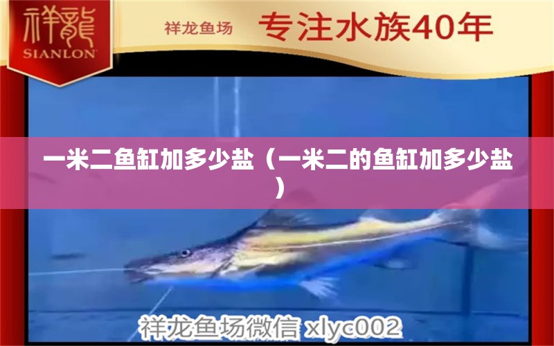 一米二魚缸加多少鹽（一米二的魚缸加多少鹽） 其他品牌魚缸