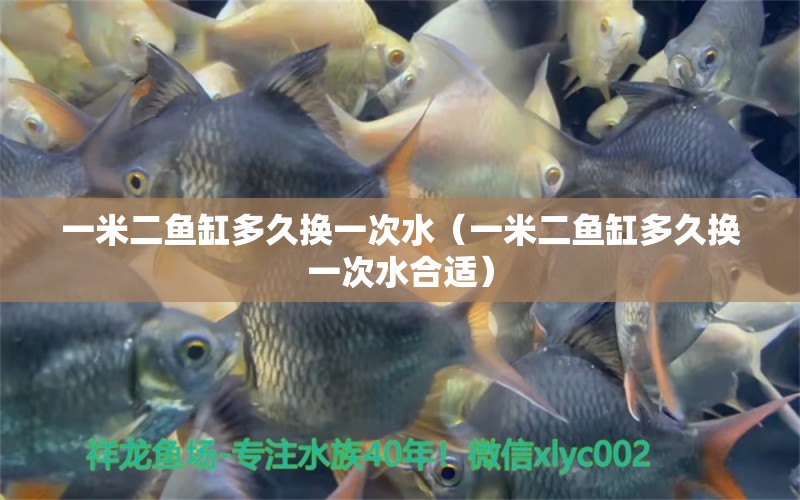 一米二魚缸多久換一次水（一米二魚缸多久換一次水合適）