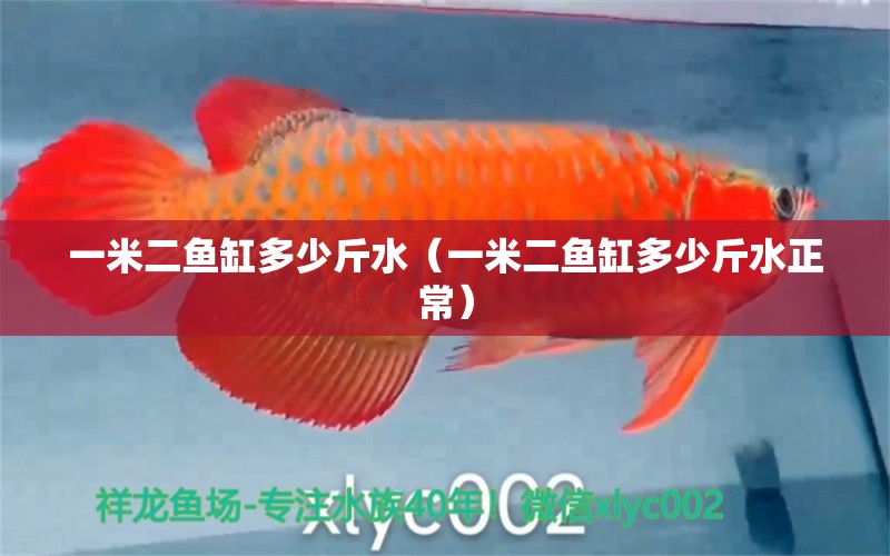 一米二魚(yú)缸多少斤水（一米二魚(yú)缸多少斤水正常）