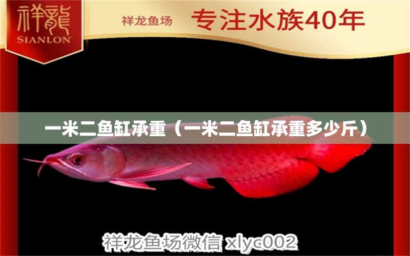 一米二魚缸承重（一米二魚缸承重多少斤）