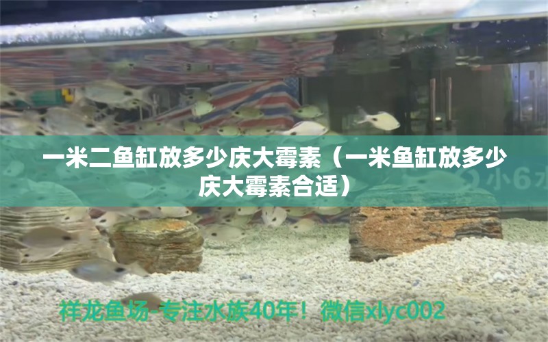 一米二魚缸放多少慶大霉素（一米魚缸放多少慶大霉素合適）