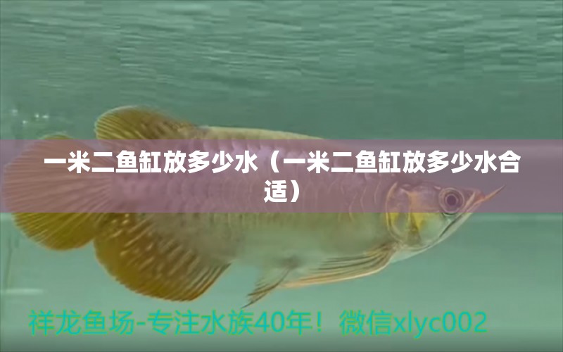 一米二魚缸放多少水（一米二魚缸放多少水合適）