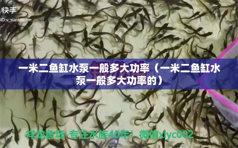 一米二魚缸水泵一般多大功率（一米二魚缸水泵一般多大功率的）