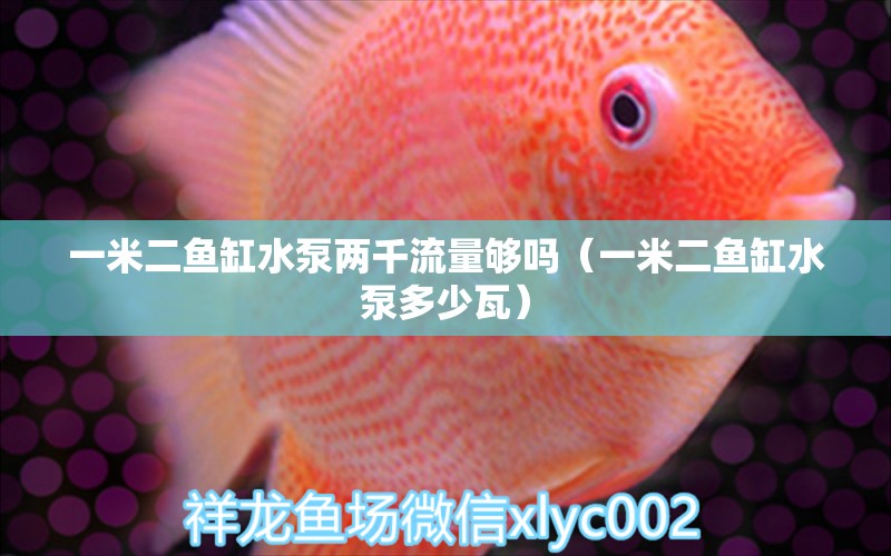 一米二魚缸水泵兩千流量夠嗎（一米二魚缸水泵多少瓦）