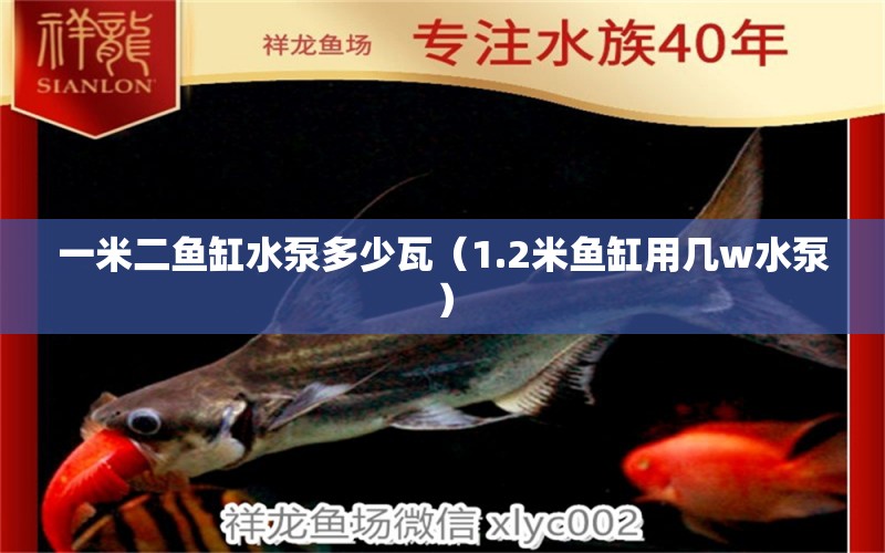 一米二魚缸水泵多少瓦（1.2米魚缸用幾w水泵）