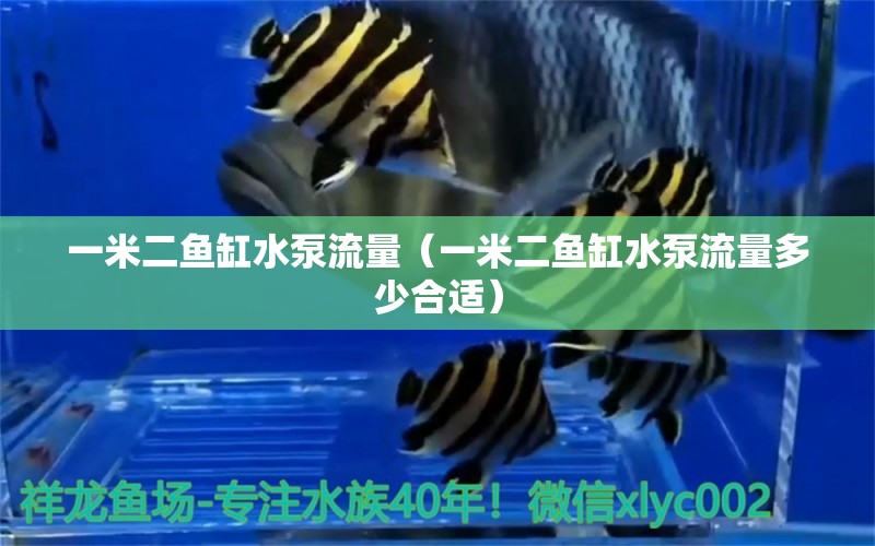 一米二魚(yú)缸水泵流量（一米二魚(yú)缸水泵流量多少合適）