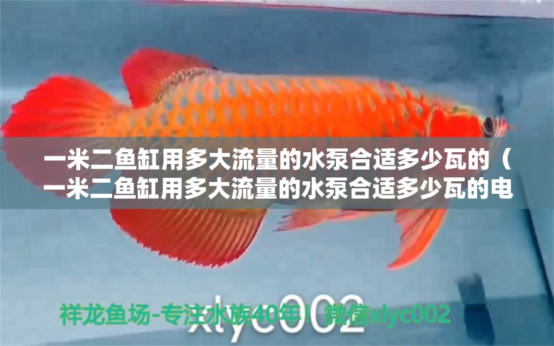 一米二魚缸用多大流量的水泵合適多少瓦的（一米二魚缸用多大流量的水泵合適多少瓦的電機(jī)） 魚缸百科