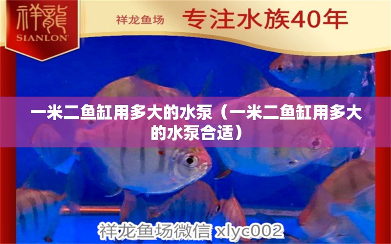 一米二魚缸用多大的水泵（一米二魚缸用多大的水泵合適） 其他品牌魚缸