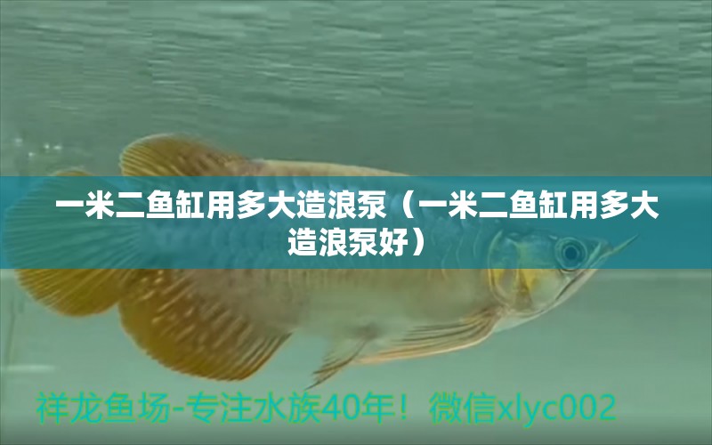 一米二魚缸用多大造浪泵（一米二魚缸用多大造浪泵好） 魚缸百科