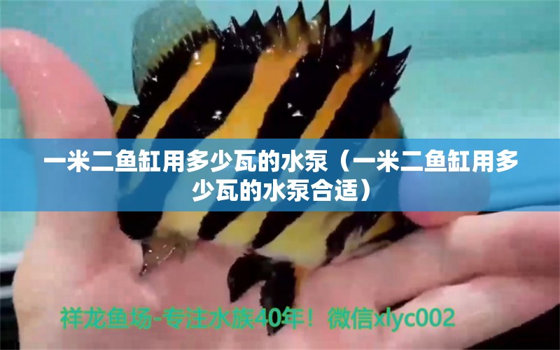 一米二魚缸用多少瓦的水泵（一米二魚缸用多少瓦的水泵合適） 其他品牌魚缸