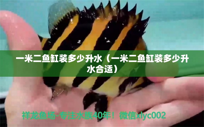 一米二魚缸裝多少升水（一米二魚缸裝多少升水合適） 其他品牌魚缸