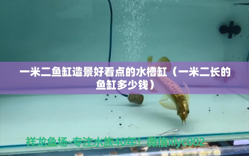 一米二魚缸造景好看點的水槽缸（一米二長的魚缸多少錢）