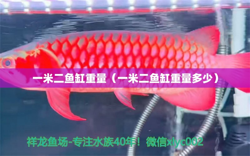 一米二魚缸重量（一米二魚缸重量多少） 其他品牌魚缸