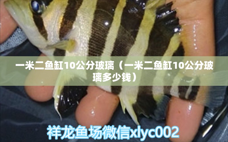 一米二魚缸10公分玻璃（一米二魚缸10公分玻璃多少錢） 魚缸百科