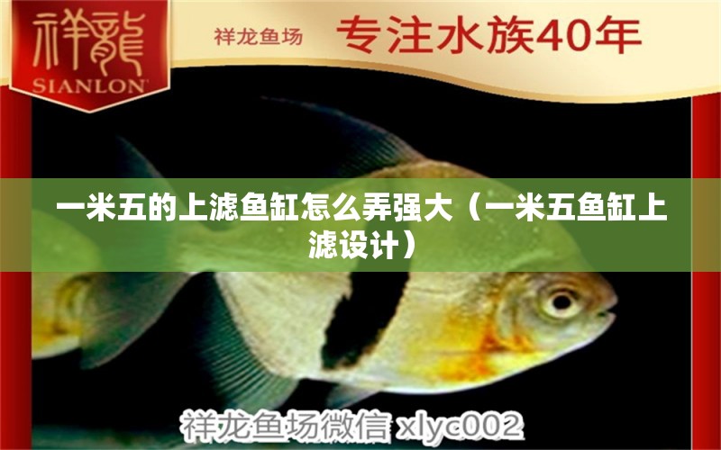 一米五的上濾魚缸怎么弄強大（一米五魚缸上濾設(shè)計）