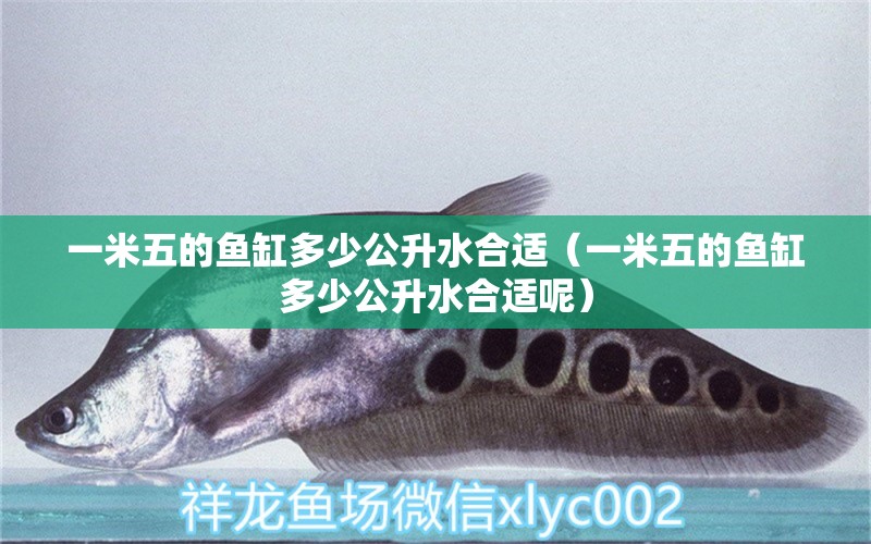 一米五的魚缸多少公升水合適（一米五的魚缸多少公升水合適呢） 魚缸百科