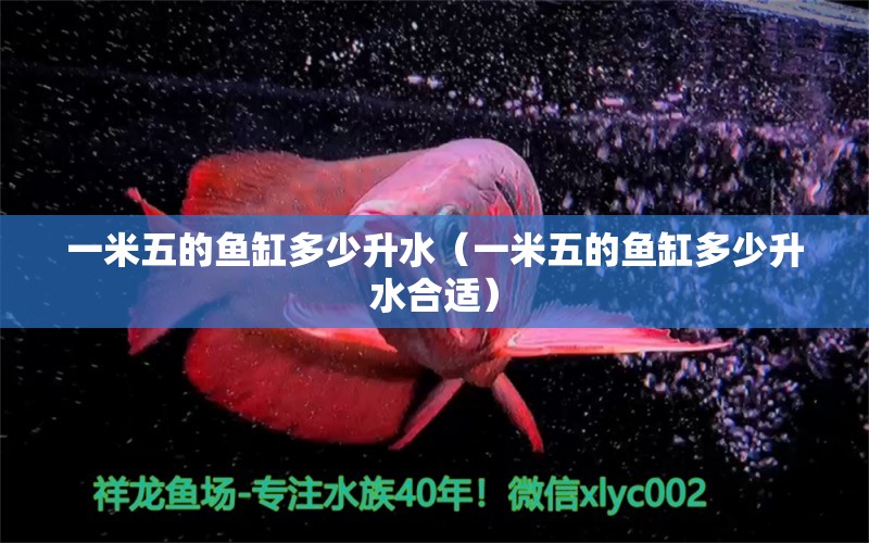 一米五的魚(yú)缸多少升水（一米五的魚(yú)缸多少升水合適）