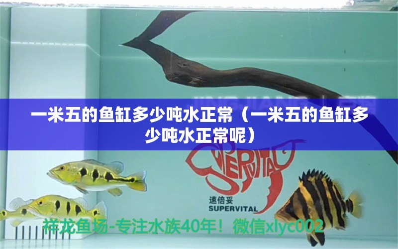 一米五的魚缸多少噸水正常（一米五的魚缸多少噸水正常呢） 魚缸百科