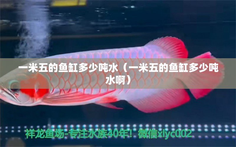 一米五的魚(yú)缸多少噸水（一米五的魚(yú)缸多少噸水?。? title=