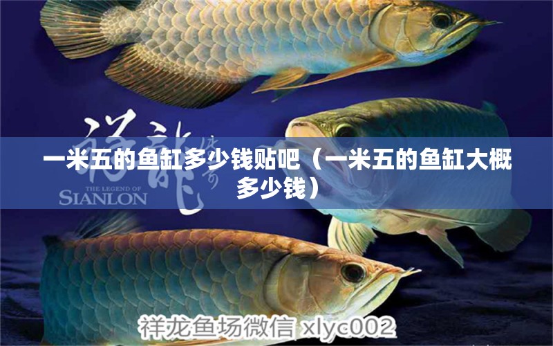 一米五的魚缸多少錢貼吧（一米五的魚缸大概多少錢）