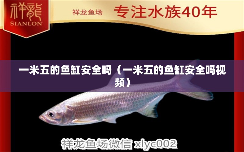 一米五的魚(yú)缸安全嗎（一米五的魚(yú)缸安全嗎視頻）