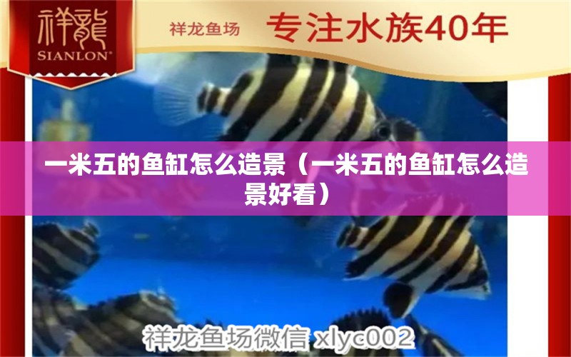 一米五的魚缸怎么造景（一米五的魚缸怎么造景好看）