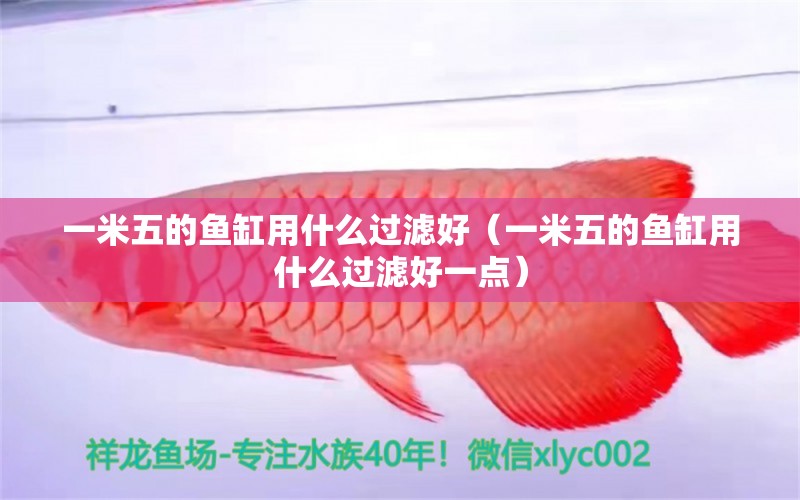 一米五的魚缸用什么過濾好（一米五的魚缸用什么過濾好一點）