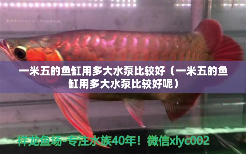 一米五的魚缸用多大水泵比較好（一米五的魚缸用多大水泵比較好呢）