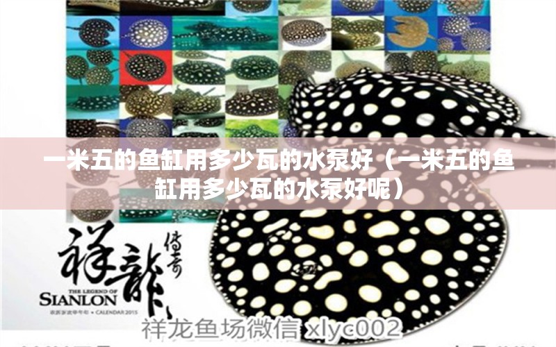 一米五的魚(yú)缸用多少瓦的水泵好（一米五的魚(yú)缸用多少瓦的水泵好呢）