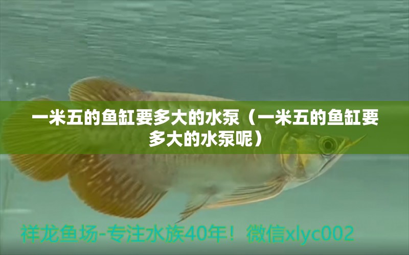 一米五的魚缸要多大的水泵（一米五的魚缸要多大的水泵呢）