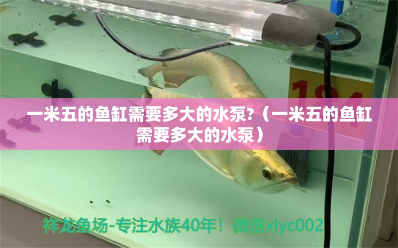 一米五的魚缸需要多大的水泵?（一米五的魚缸需要多大的水泵）