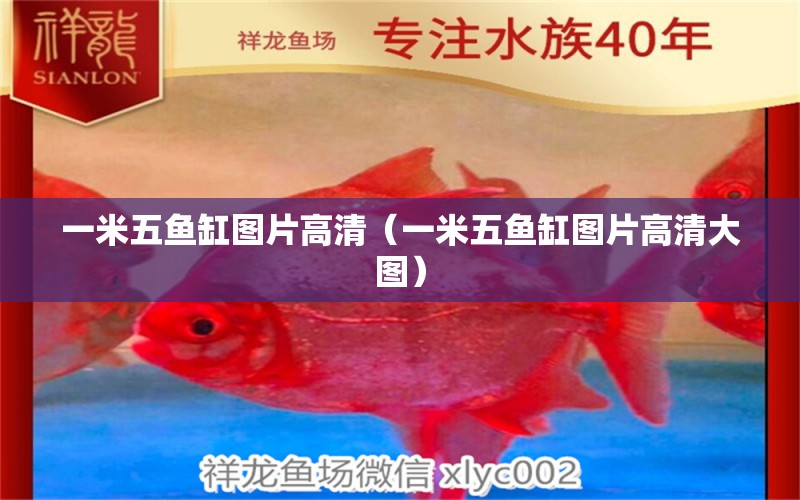 一米五魚缸圖片高清（一米五魚缸圖片高清大圖）