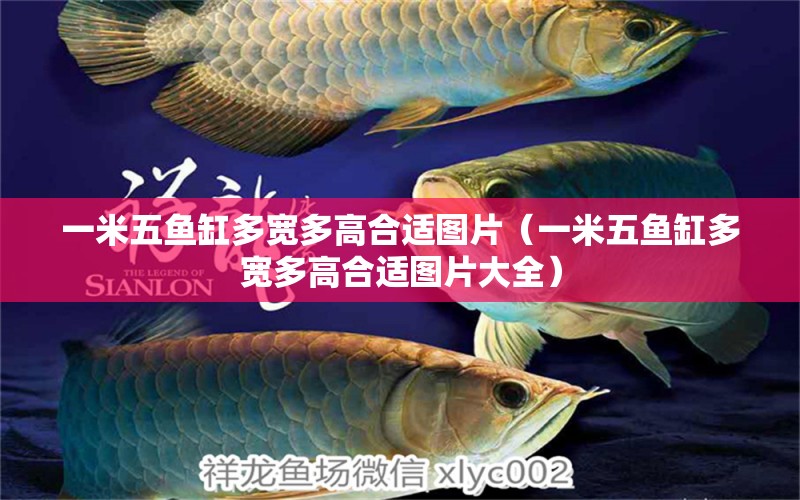 一米五魚缸多寬多高合適圖片（一米五魚缸多寬多高合適圖片大全）