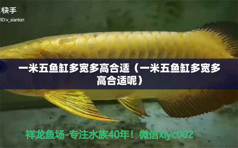 一米五魚缸多寬多高合適（一米五魚缸多寬多高合適呢）