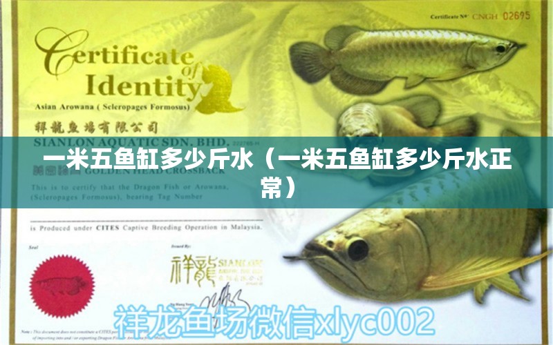 一米五魚缸多少斤水（一米五魚缸多少斤水正常）