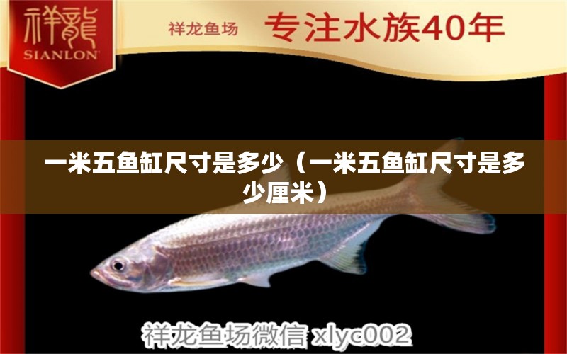 一米五魚缸尺寸是多少（一米五魚缸尺寸是多少厘米）