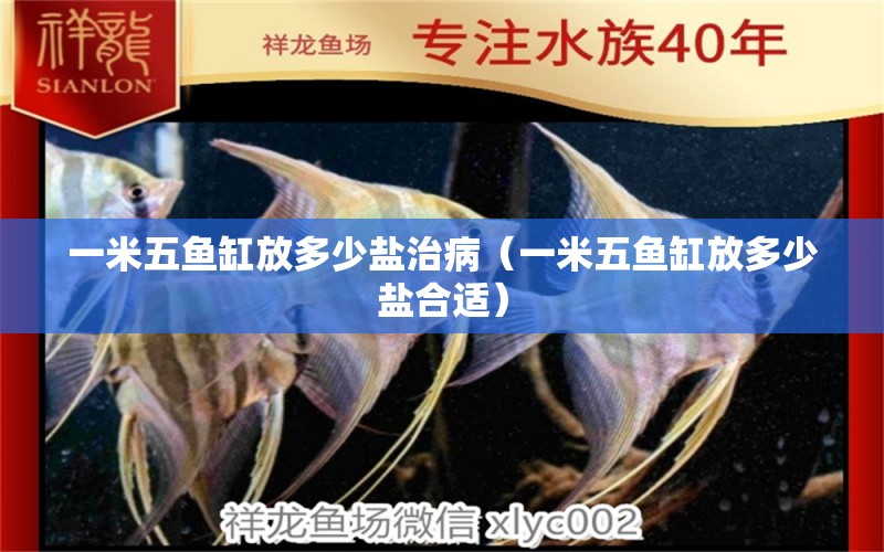 一米五魚缸放多少鹽治?。ㄒ幻孜弭~缸放多少鹽合適） 魚缸百科