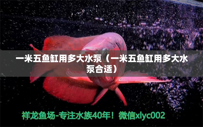 一米五魚缸用多大水泵（一米五魚缸用多大水泵合適）