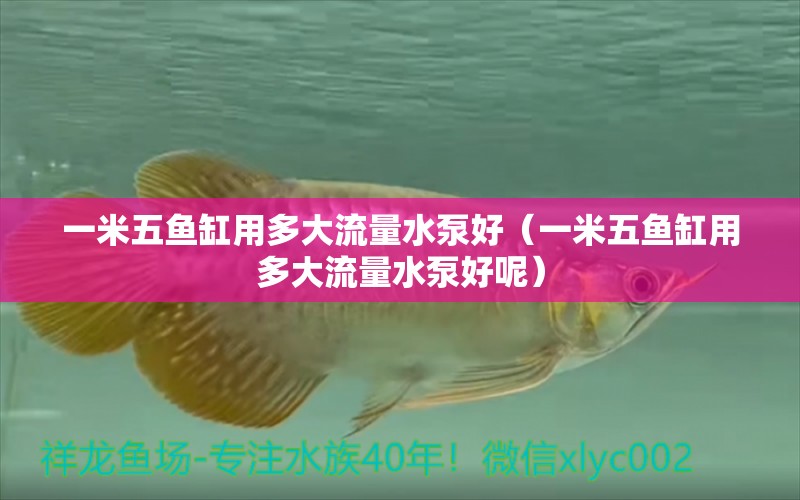 一米五魚缸用多大流量水泵好（一米五魚缸用多大流量水泵好呢）