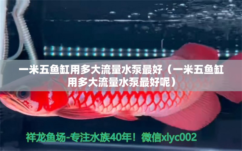 一米五魚缸用多大流量水泵最好（一米五魚缸用多大流量水泵最好呢）