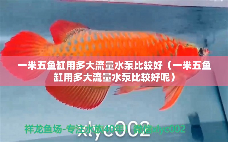 一米五魚缸用多大流量水泵比較好（一米五魚缸用多大流量水泵比較好呢）